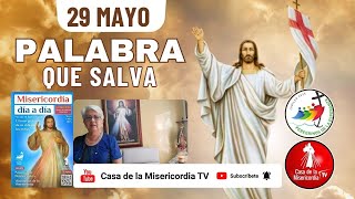Camino Diario de Oración Personal / 29 de Mayo del 2025