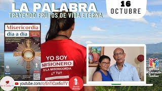 Camino Diario de Oración Personal / 16 de Octubre del 2024