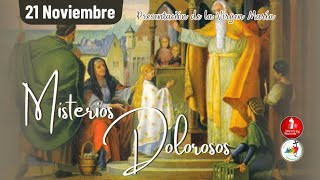 Santo Rosario Misterios Dolorosos / 21 de Noviembre de 2025