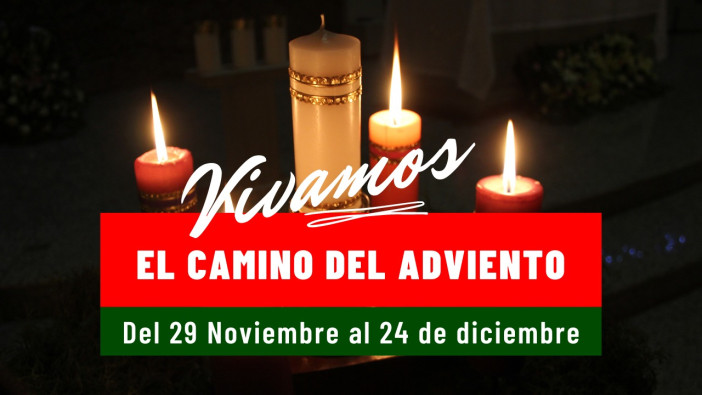 Paso 4 : 
