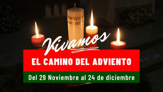 Paso 4 : 