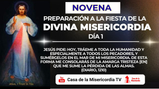 Novena de preparación  a la Fiesta de la Misericordia Primer día - (Viernes Santo. Diario, 1210-1211)