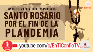 Santo Rosario por el fin de la Plandemia/ Misterios Dolorosos