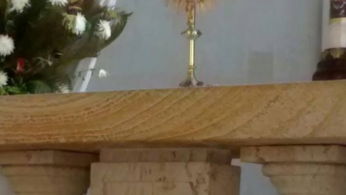 Preparación para nuestra Fiesta de la Misericordia 