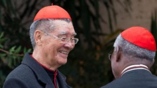 Llega el cardenal vietnamita a Roma