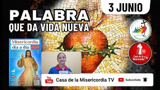 Camino Diario de Oración Personal / 3 de Junio del 2025