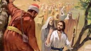 Lectio Divina 3: Encuentro con Zaqueo
