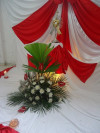 fiesta-cucuta-42.jpg